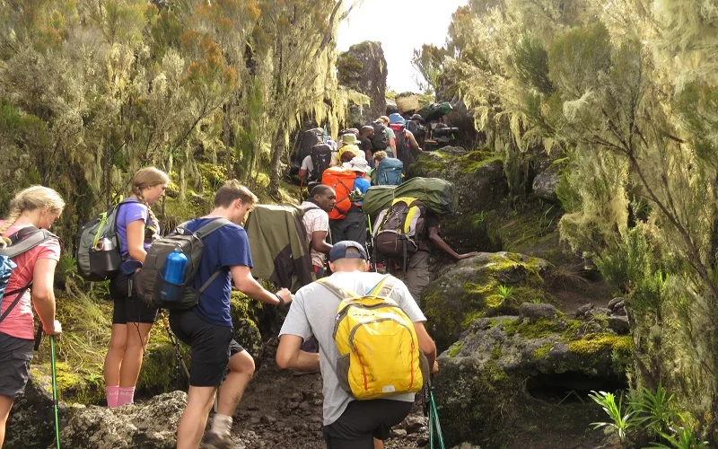 Kilimanjaro climb & safari holidays